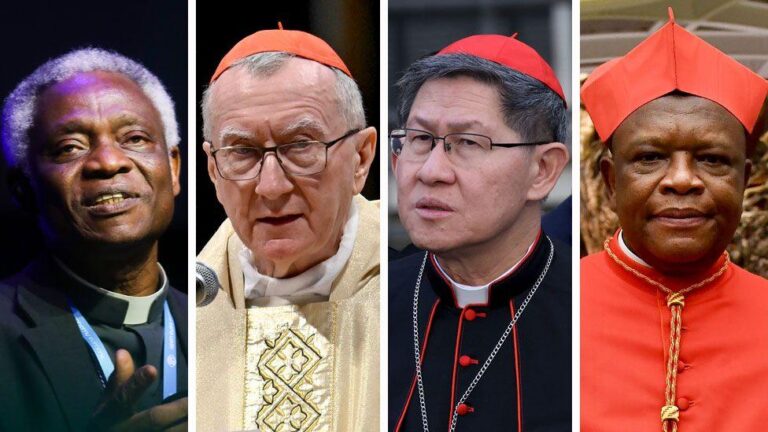 Possible Candidates for Next Pope After the Death of Pope Francis Revealed