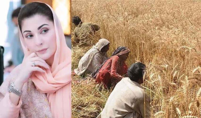 Maryam Nawaz Announces Rs15 Billion Relief for Farmers, Launches Environmental Protection Force