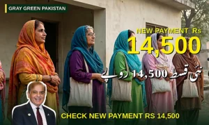 Benazir Kafalat Payment 14,500 — Complete Guide to Check Eligibility and Collect Your Payment