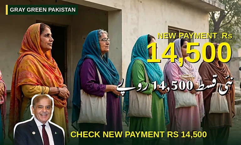 Benazir Kafalat Payment 14,500 — Complete Guide to Check Eligibility and Collect Your Payment