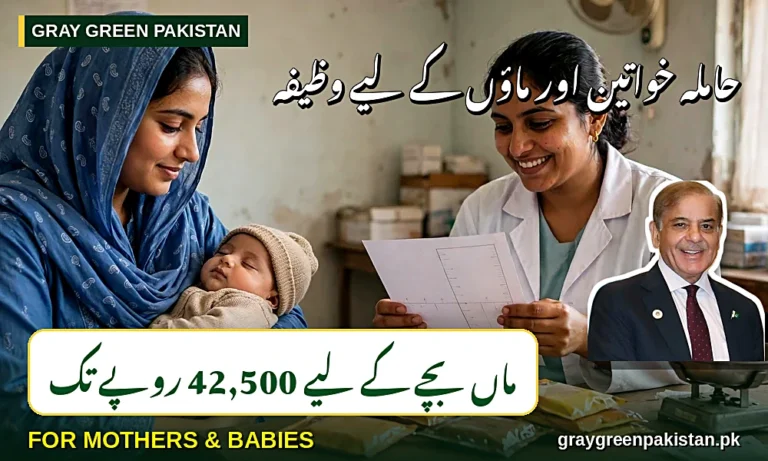 Benazir Nashonuma Program — Complete Guide for Mothers and Children Under Two