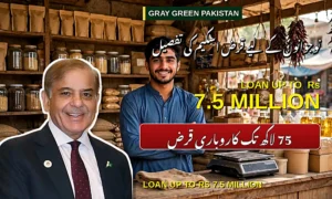 PM Youth Loan Scheme — Tier 1, 2 and 3 Complete Guide to Apply Online